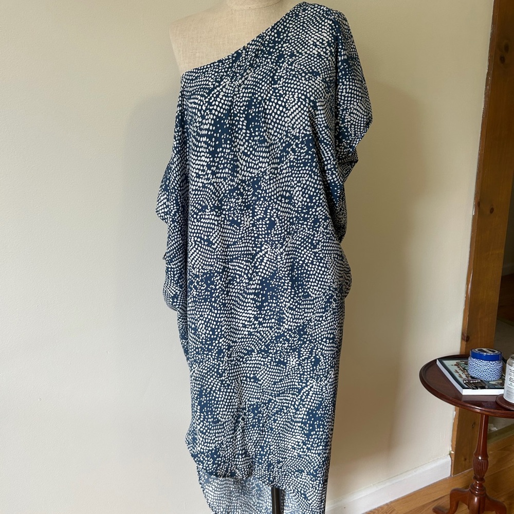 Vici Blue and White Patterned Dress